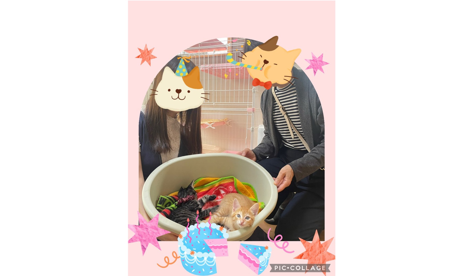 6月10日(水) チャチャくん❣️アンちゃん