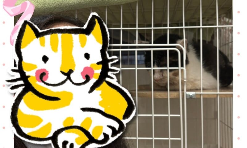6月27日(土)三太くん