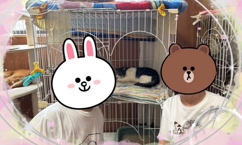 6月14日(日) りなちゃん
