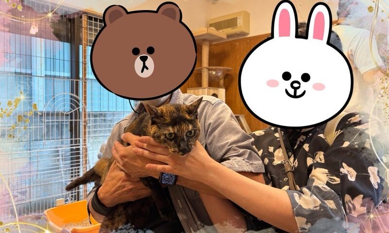 6月28日(日) しのちゃん