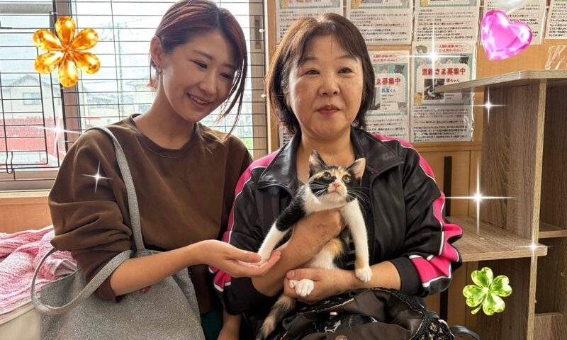6月3日(水) チェルシーちゃん