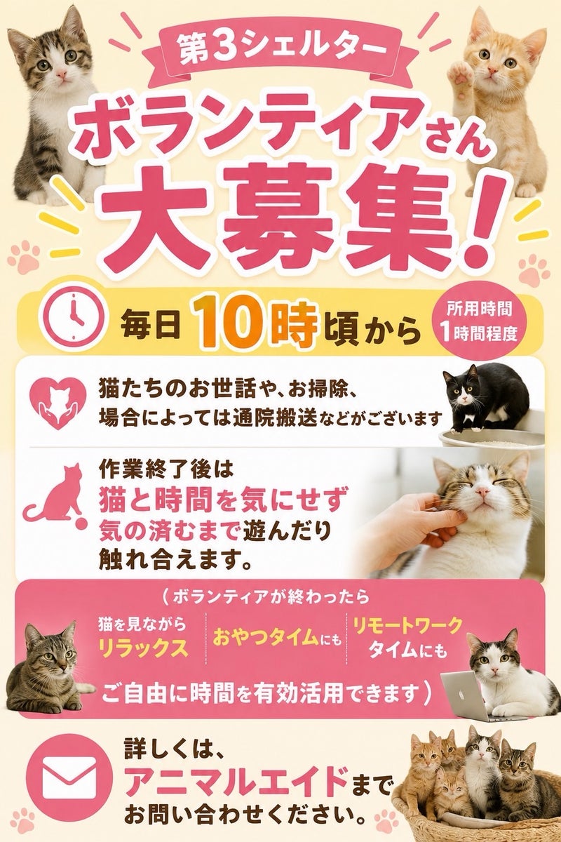 ボランティア募集